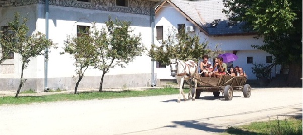 oltenia