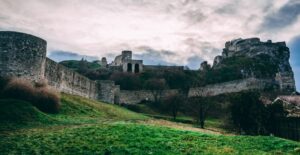 pexels-rudolf-kirchner-831082