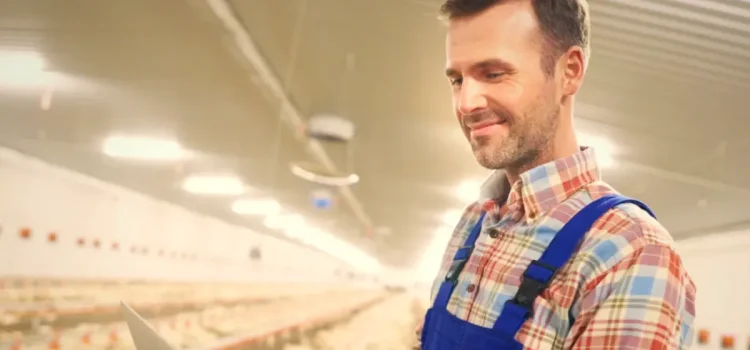 Ferme integrate, un show de control și carne de pui