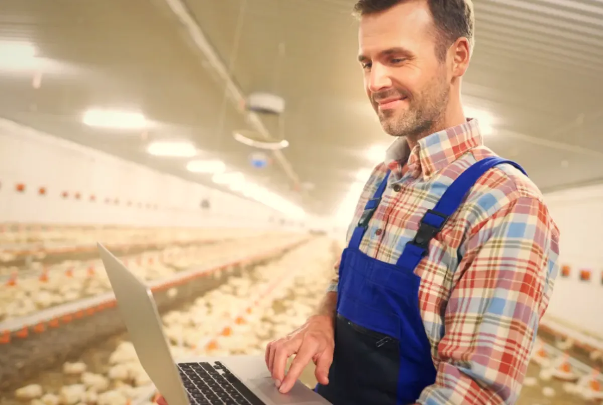 Ferme integrate, un show de control și carne de pui